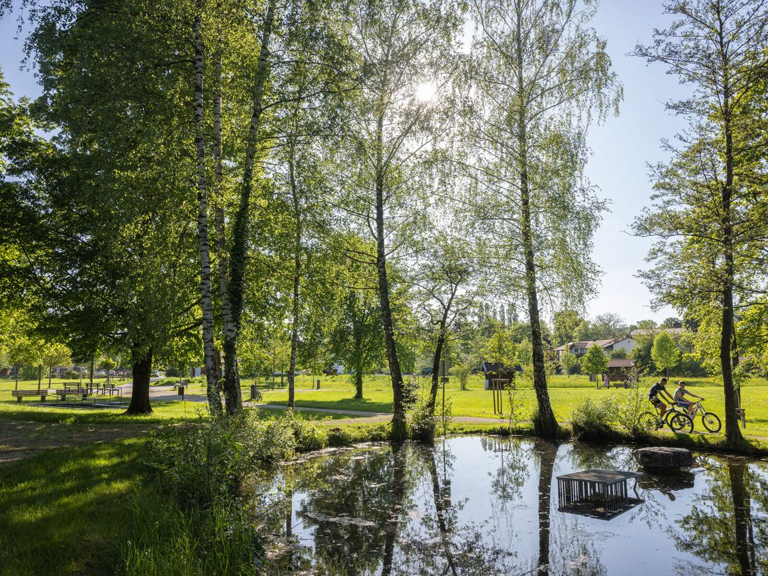 Teich im Kurpark Waging