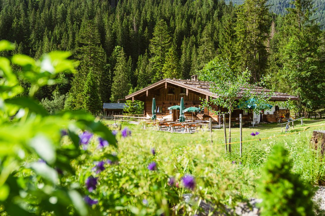 schwarzachenalm_dsc02249