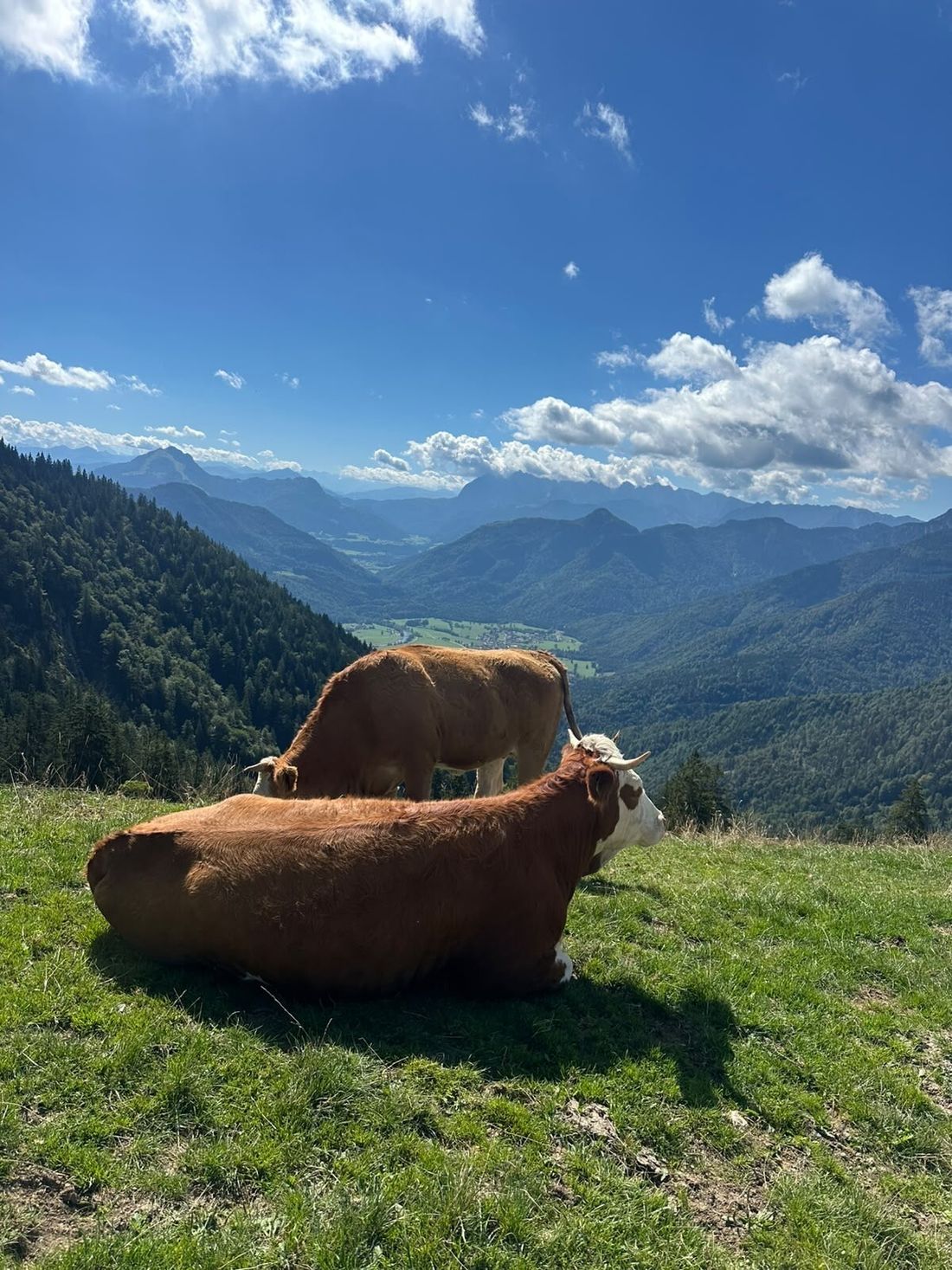Bergblick