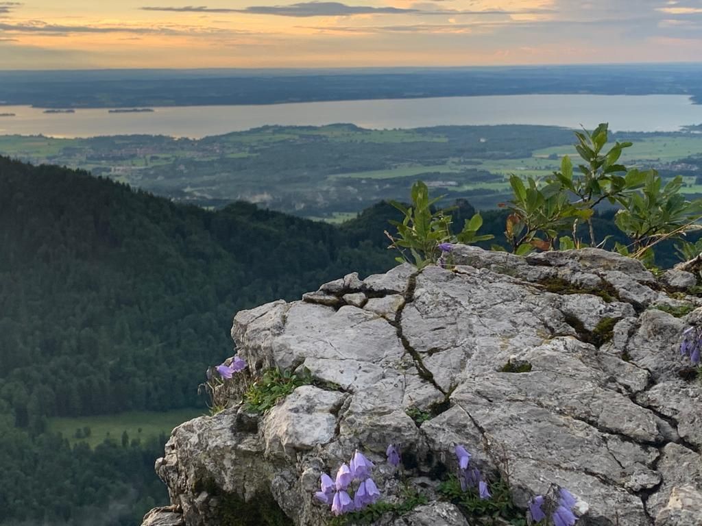 Panoramablick