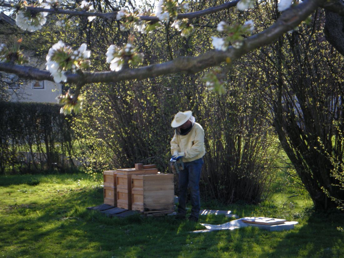 Honig aus eigener Ernte