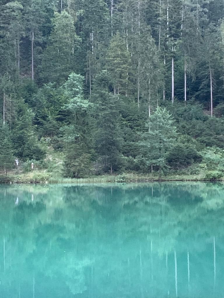 Taubensee