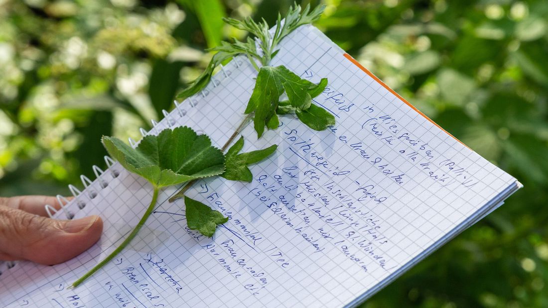 Jahresausbildung Naturmittel