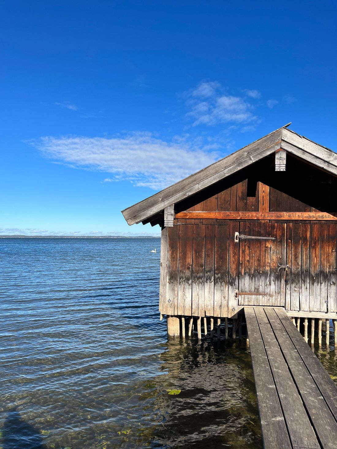 Vogelaussichtsplattform