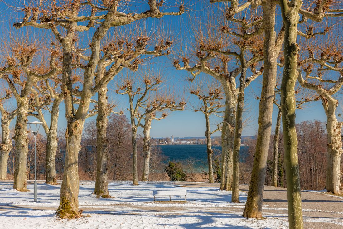 Winterlandschaft am Chiemsee