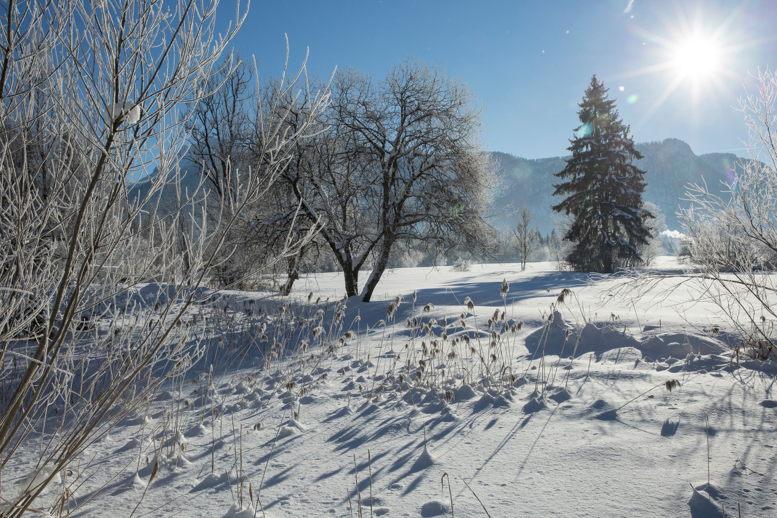 Inzell winter natur panorma _4