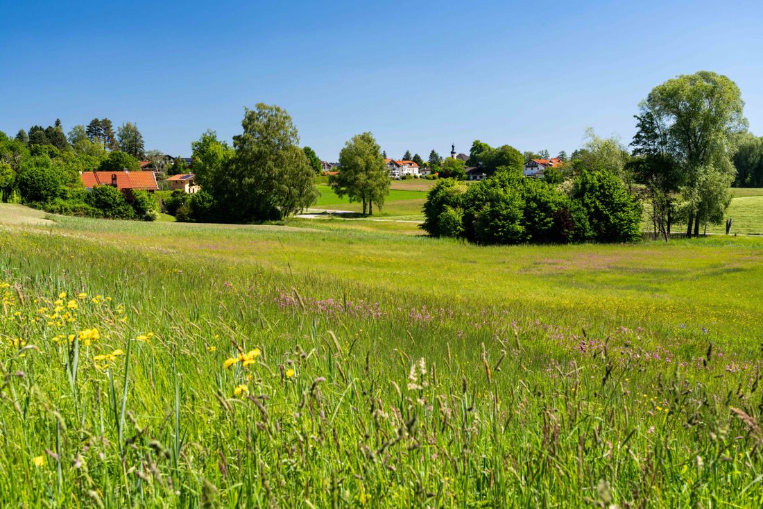 Blick nach Breitbrunn