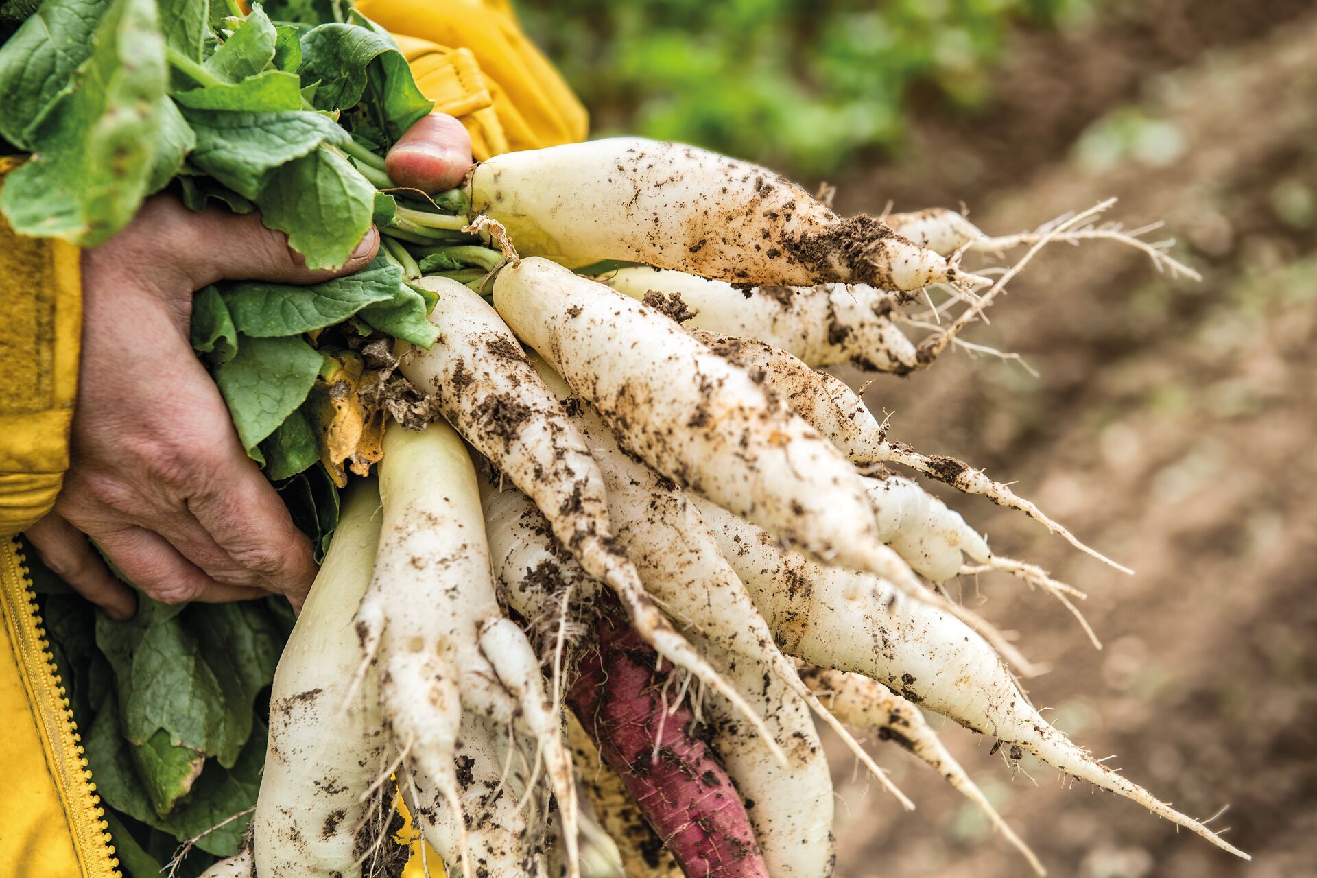 Kreisläufe auf dem Biohof