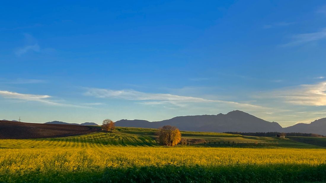 Blick von Erlstätt auf die Berge