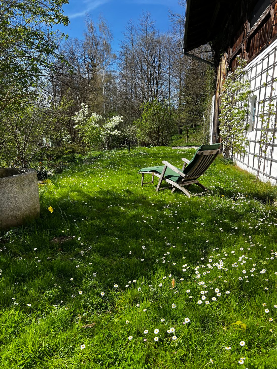 Frühling