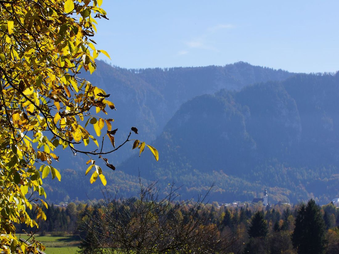 Ausblick