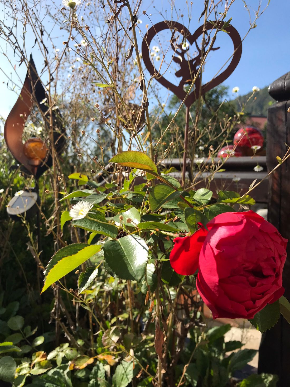 Blumen
