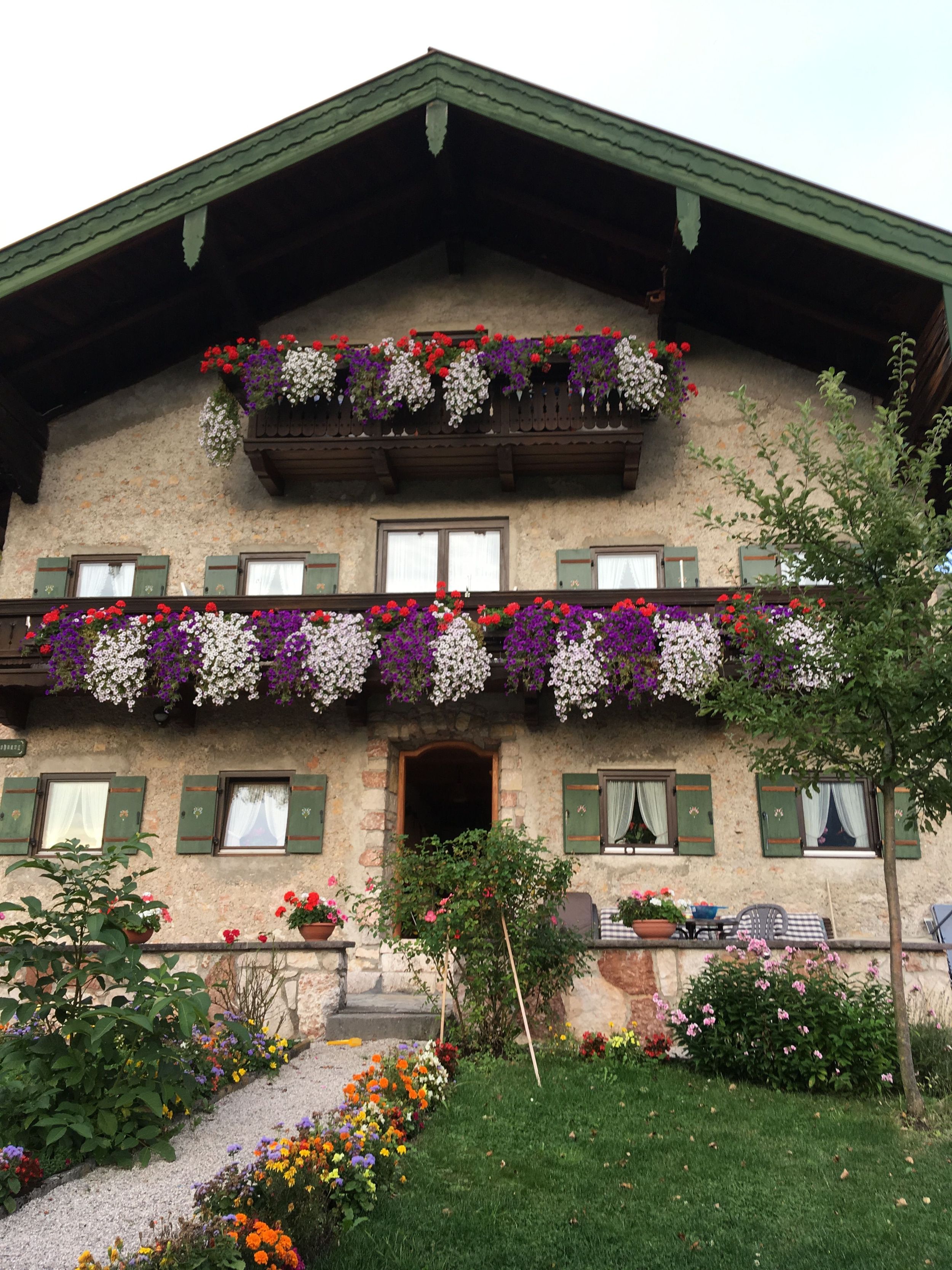 Haus