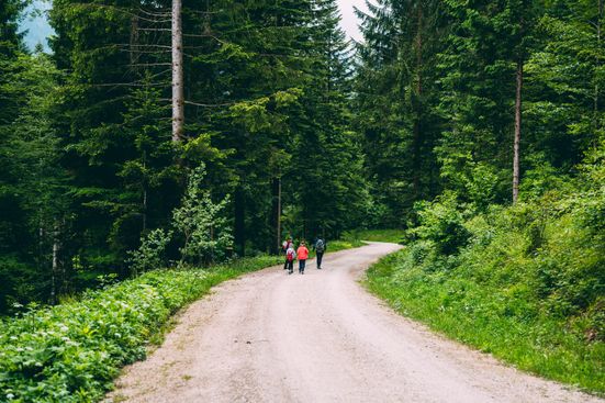 Weg zur Bäckeralm