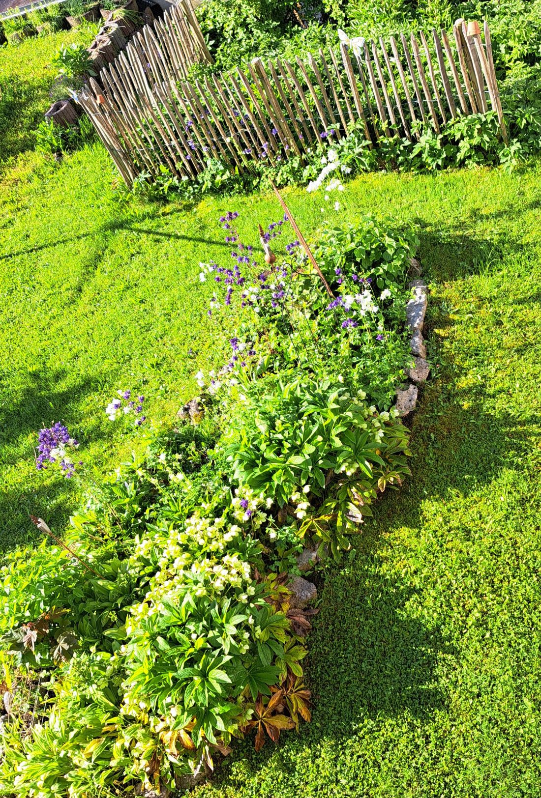 Fewo Gerg