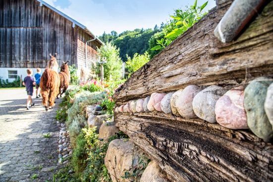 abenteuer_lama_trekking_effner_IMG_4094