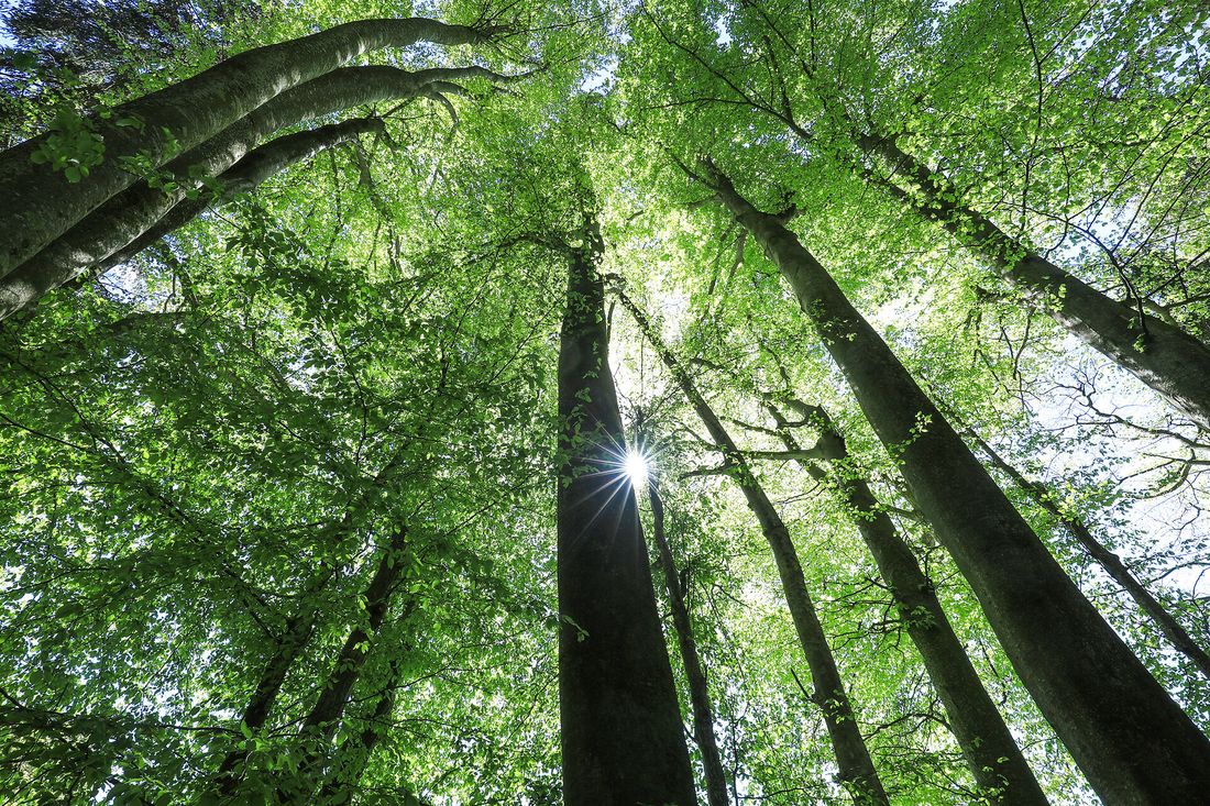 Erlebistage LandWIRtschaft