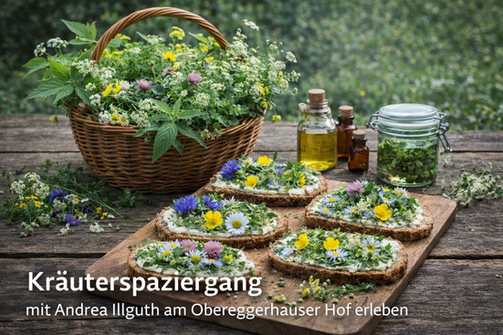Kräuterspaziergang_Andrea_Illguth_Obereggerhauser Hof.
