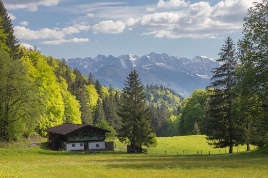 Peterer- Alm mit Wilden Kaiser