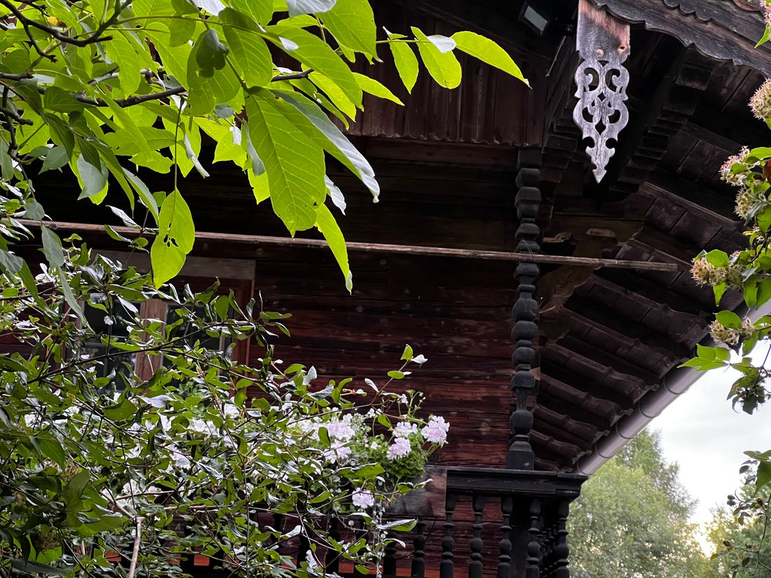 Versteckt im Grünen