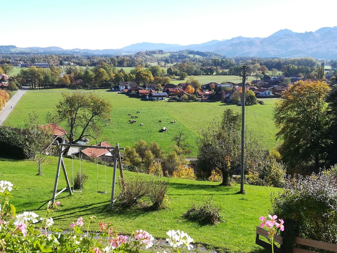 Aussicht Ferienwohnung