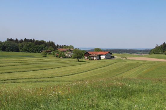 Wiese mit Hof