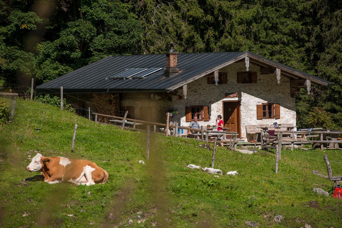 Staudacheralm_Wanderung