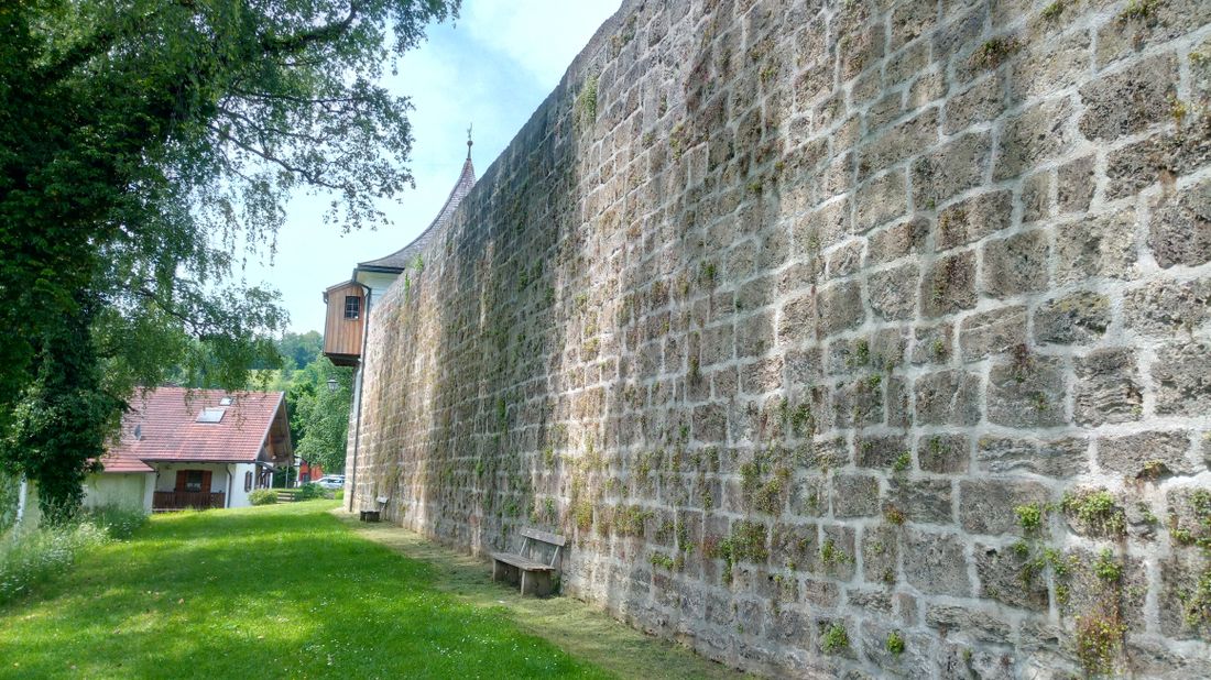 mauer_20210608_121656_8