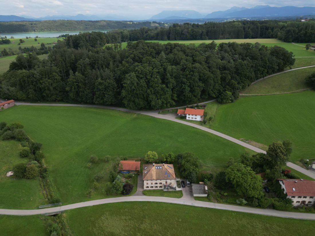 Burg 2 mit Anwesen und Buchenwald