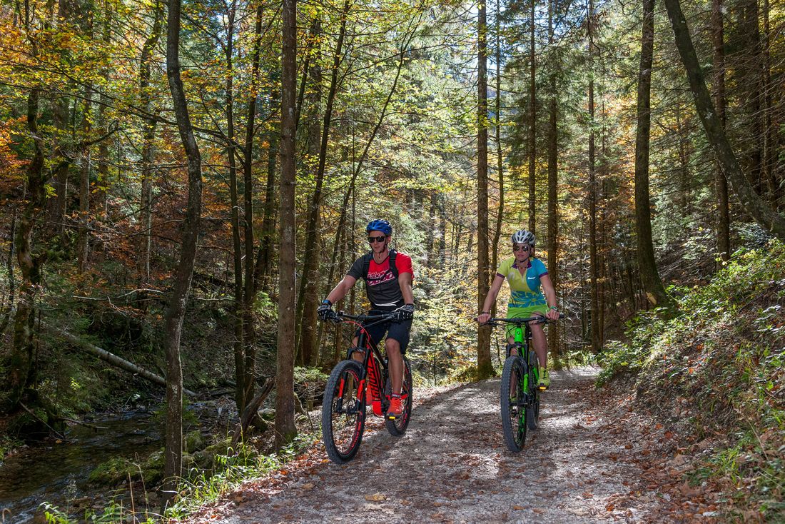 Mit dem Mountainbike durch den Wald
