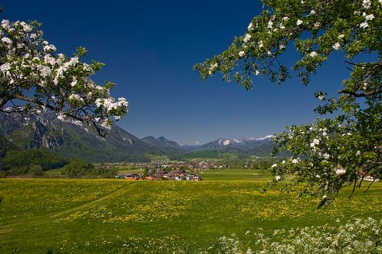 inzell frühling panorama 02