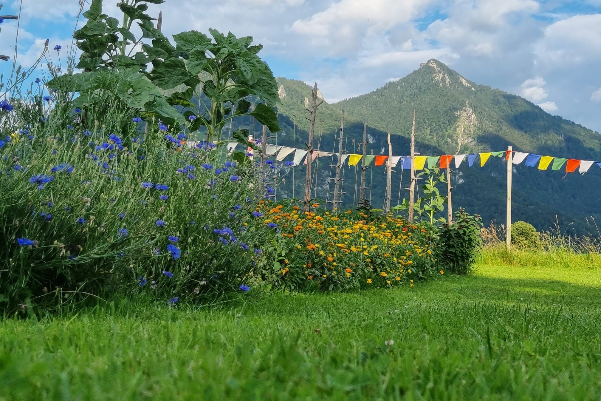 Permagarten bearbeitet -