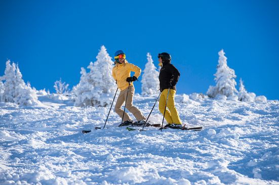 Skifahrer auf der Winklmoosalm in Reit im Winkl