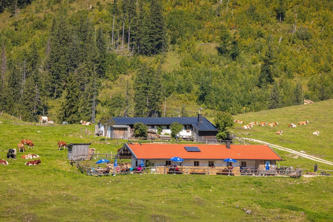 Jochbergalmen