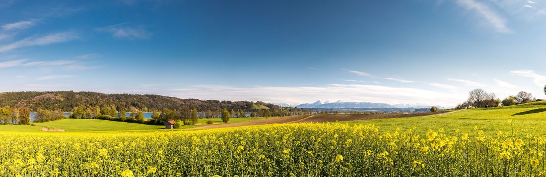 Panorama Tachinger See