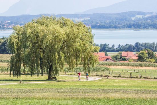 E-Bike Tour im Rupertiwinkel