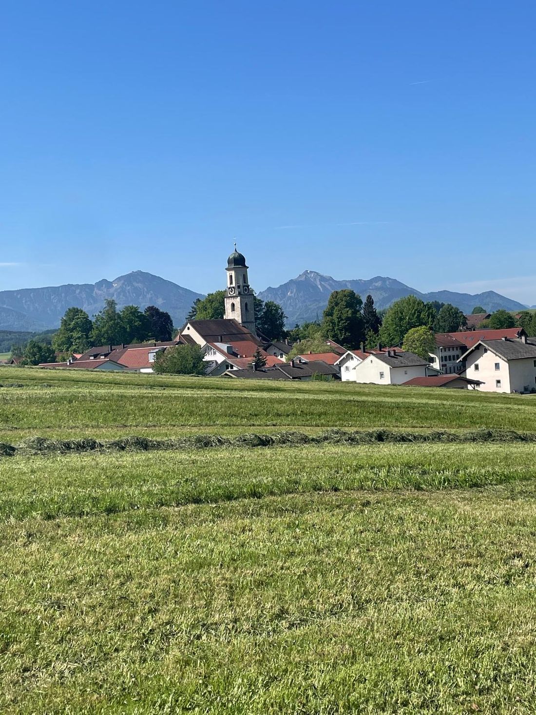 Blick vom Garten auf die Haslacher Kirche