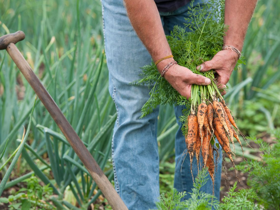 Erlebnistage LandWIRtschaft
