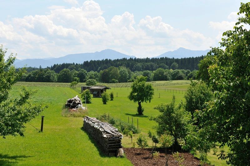 Blick in die Berge