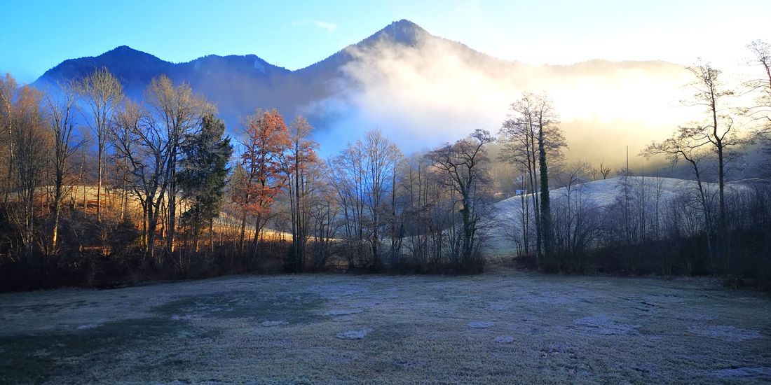 Blick aus dem Fenster in die freie Natur