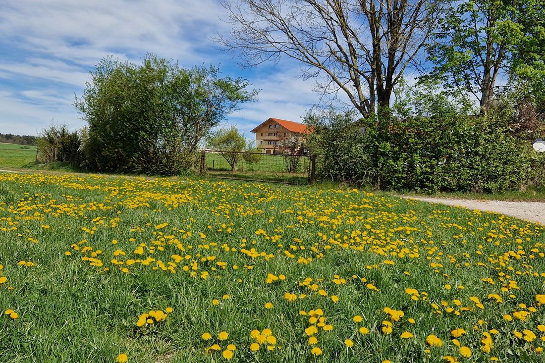 Frühling Blick auf die Ferienwohnungen