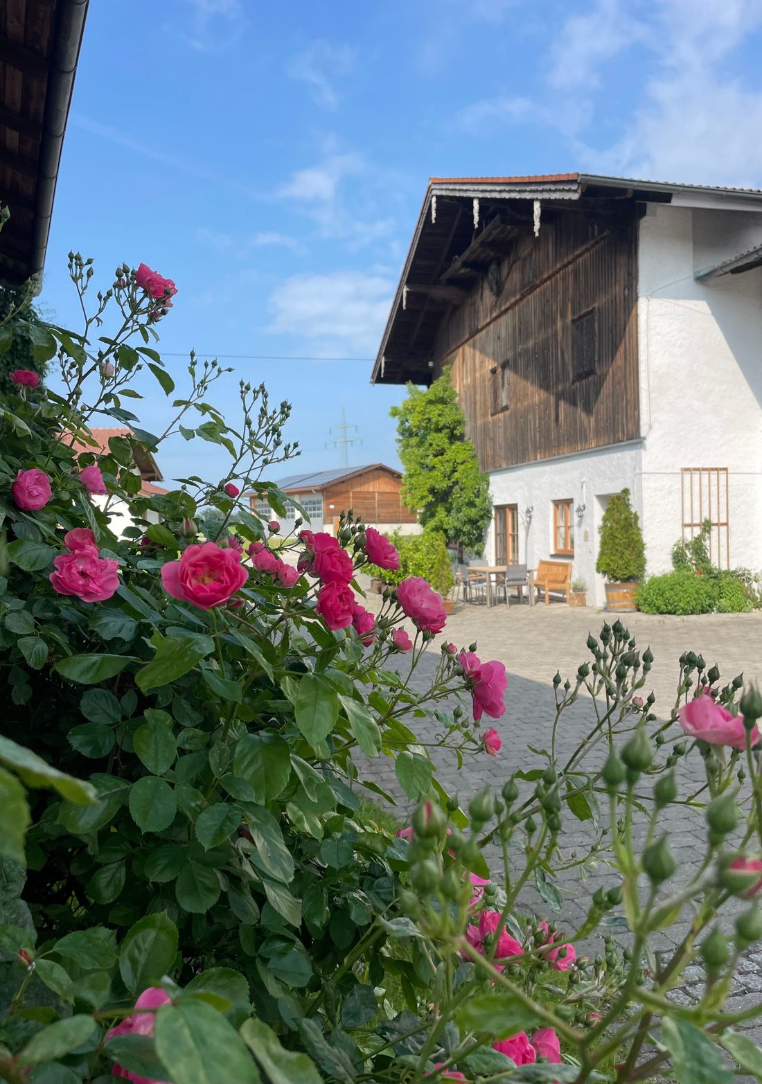 Blick auf Terrasse Ferienwohnung Kampenwand