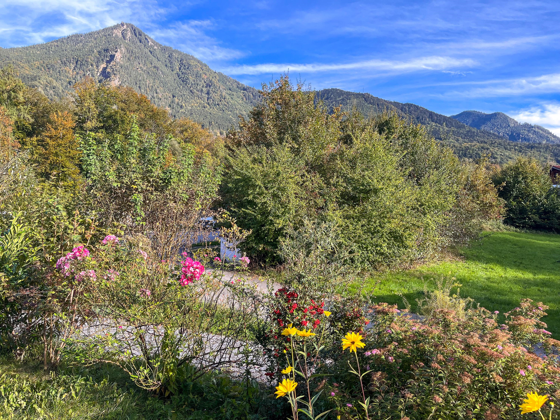 Blick auf Hochlerch
