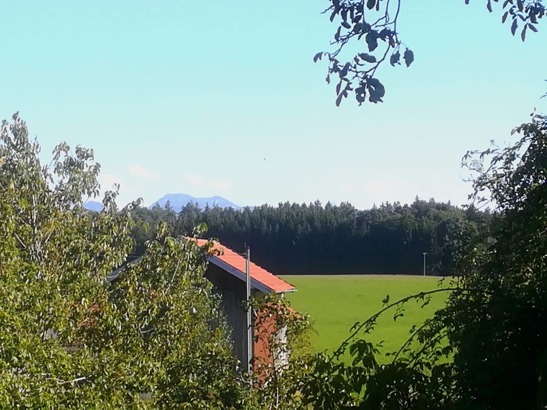 Ausblick
