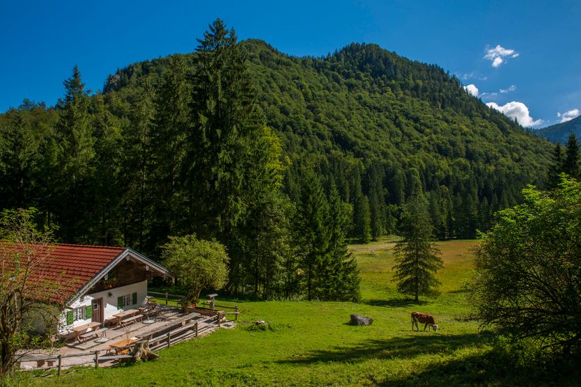 moaralm inzell