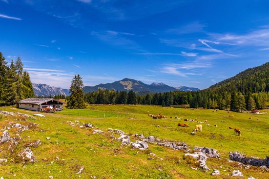Obere Hemmersuppenalm