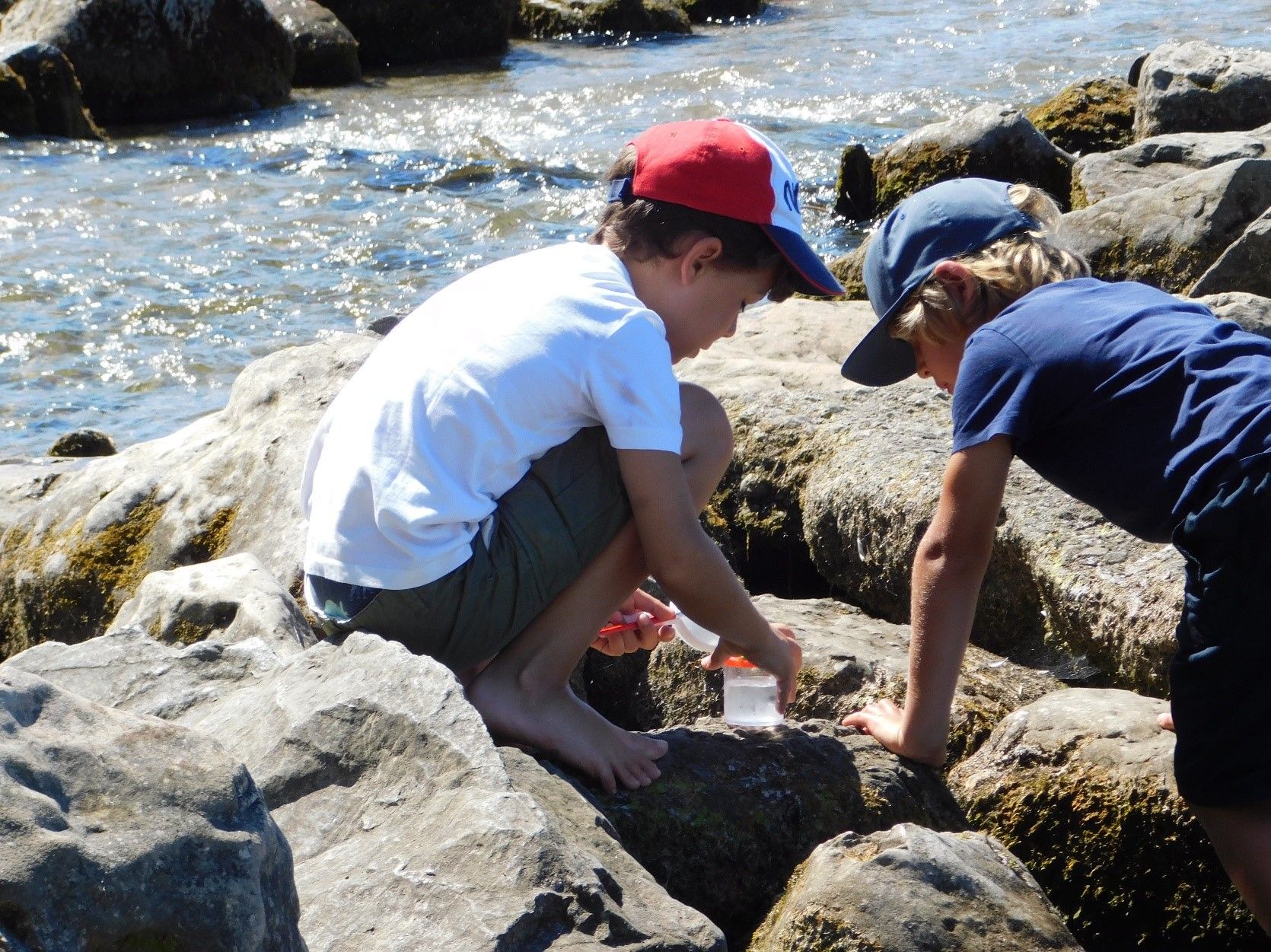 bild-gewaesser-unter-der-lupe