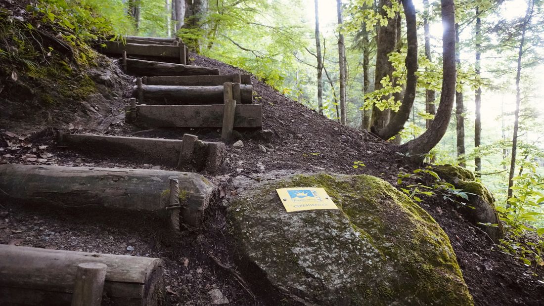 Chiemseeblick-Trail