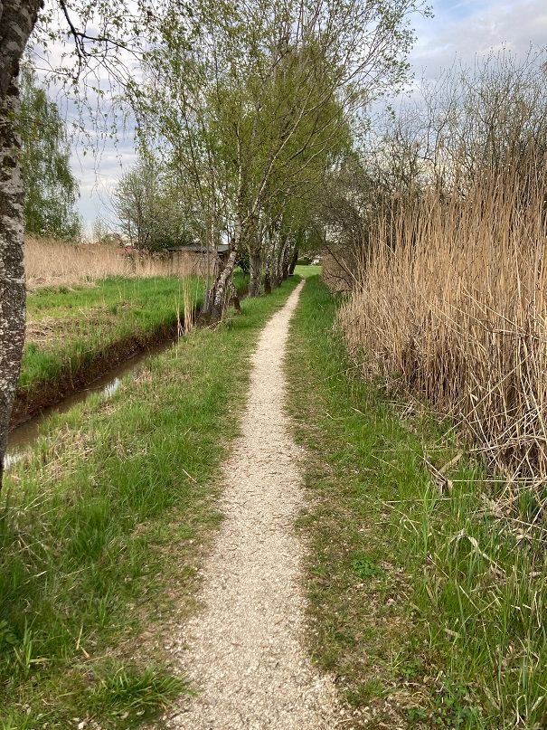 Wanderweg zum Chiemsee