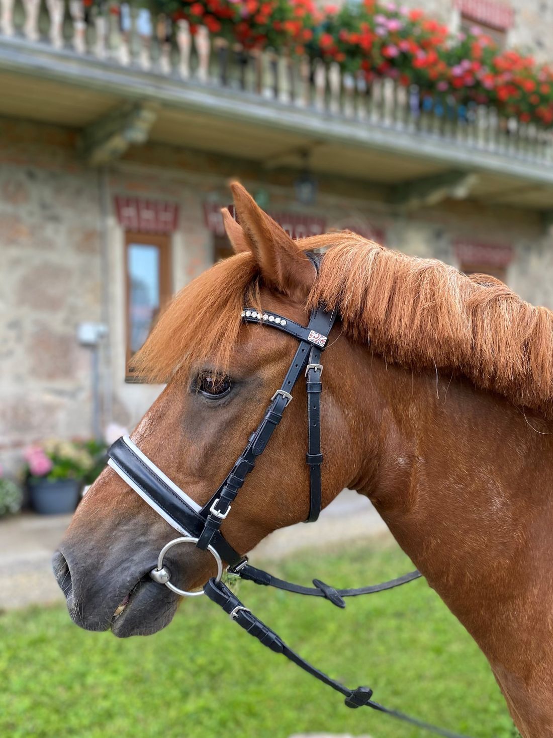 foto-ponyreiten_1